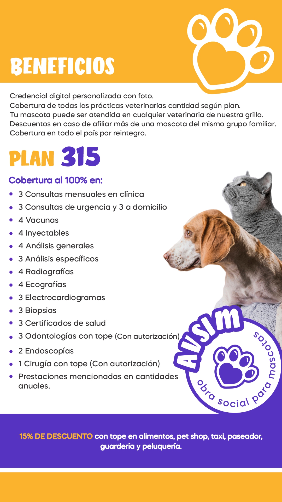 Imagen del PLAN 315